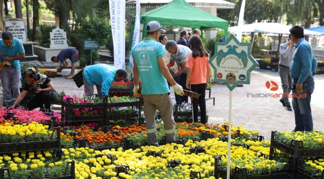 Alanya'da bayramda 60 bin çiçek dağıtılacak