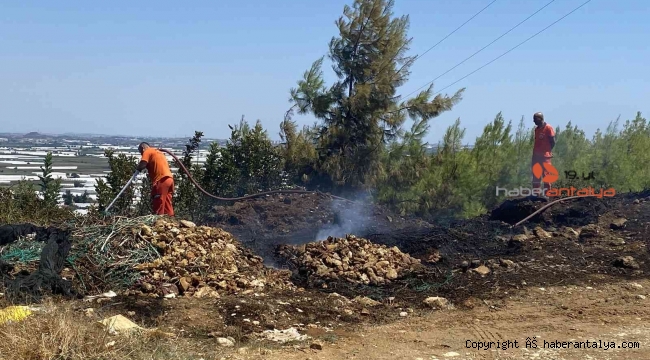 Antalya'da ormanlık alanda çıkan yangın korkuttu