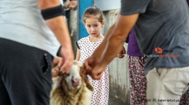 Büyükler kesti, çocuklar izledi