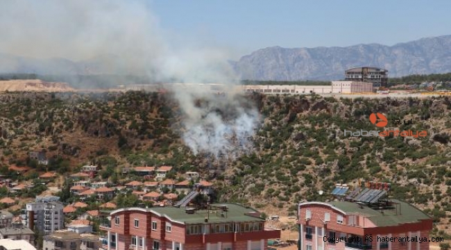 Kepez'de şehir hastanesi yakınında çıkan yangın mahalleliyi korkuttu !