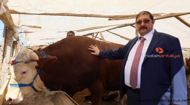 Kurban pazarları, ulaşım giderine yenik düştü !