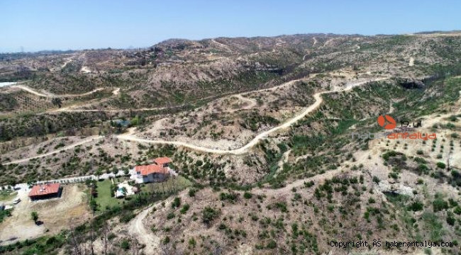 Manavgat, büyük yangından sonra hayata dönüyor