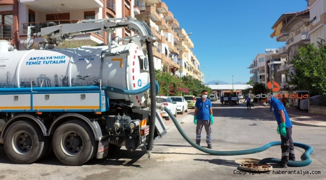 Manavgat'ta ilaçlama seferberliği