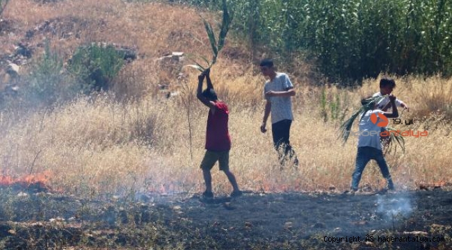 Otluk alandaki yangın, itfaiye ve mahalleli tarafından söndürüldü