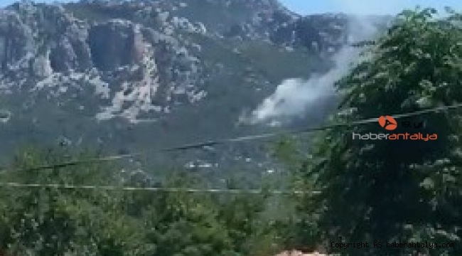 Serik'teki orman yangını kontrol altına alındı
