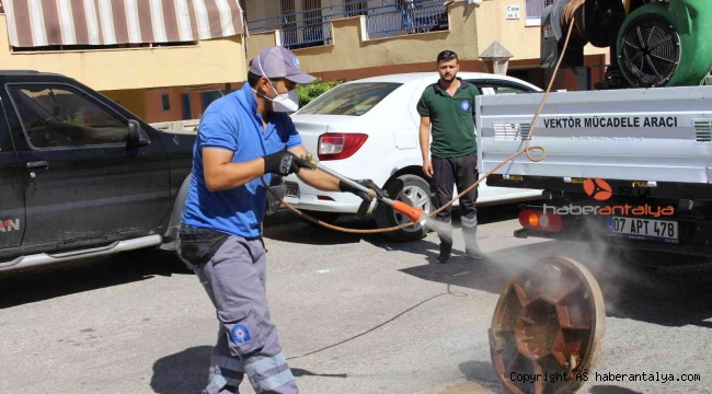 Sinek ve haşereyle mücadele sürüyor