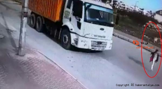 Sokak köpeklerinden kaçarken ölen Mahra'nın ailesi: 'Başıboş köpekler toplatılsın'
