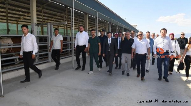 Vali Yazıcı Korkuteli'de