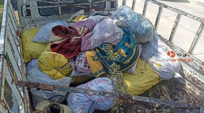 26 çuval keçiboynuzu bulundu