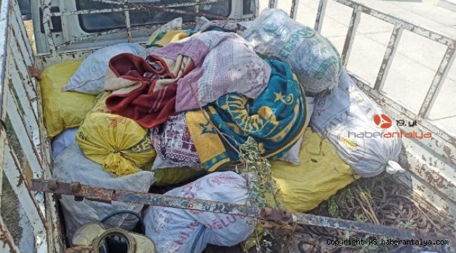 600 kilo keçiboynuzu çalan şüpheliler yakalandı