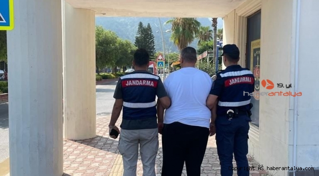7,5 yıl hapis cezası ile aranan firari, jandarmaya yakalandı