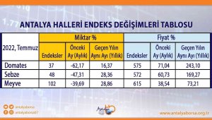 Antalya Ticaret Borsası Temmuz ayı hal endeksini açıkladı, işte rakamlar 
