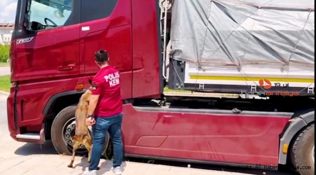 Antalya'da 55 kilo eroin ele geçirildi; 2 gözalt !