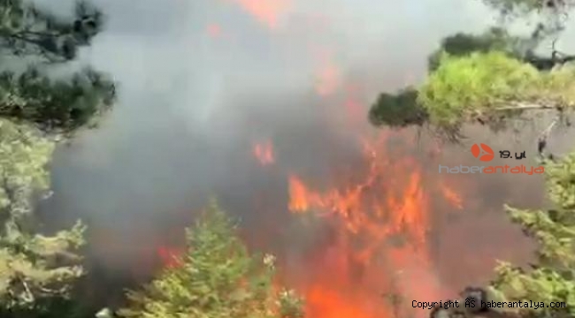Antalya'da çıkan orman yangını, 2 saatte kontrol altına alındı