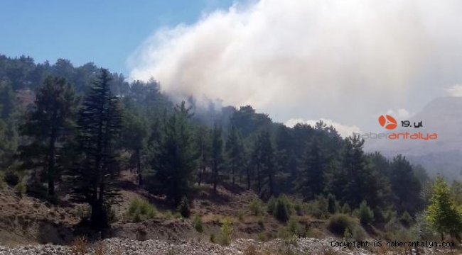 Antalya'da orman yangını !