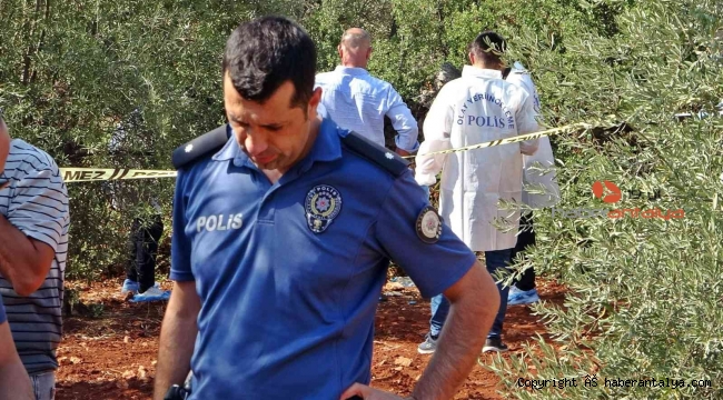 Antalya'da zeytinlik alanda 23 yaşındaki gencin cesedi bulundu