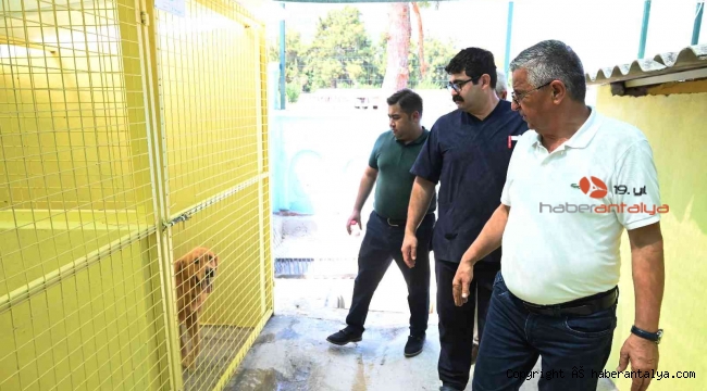 Başkan Topaloğlu: "Tüm canlıları korumaya devam edeceğiz"
