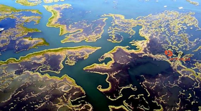 Dalyan Kanalı'nın harika görüntüsü cezbetti