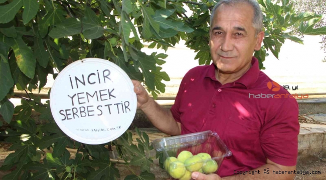 İncirlerini herkes yesin diye tabela astı, duasını şehitlere istedi