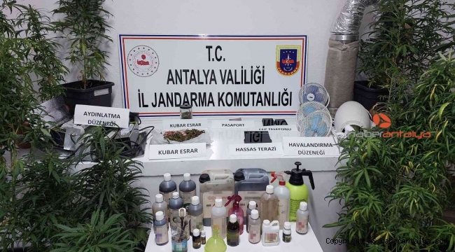 Jandarmadan uyuşturucu operasyonu