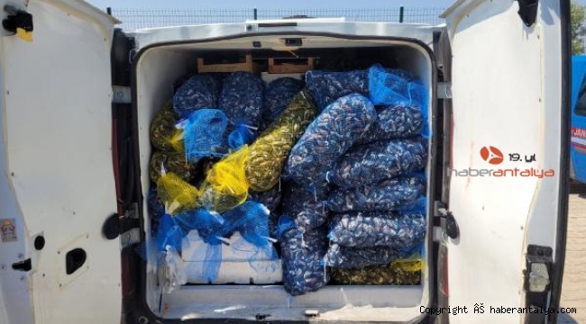 Kaçak balık ve midye taşıyan şüpheliye 10 bin 811 lira ceza
