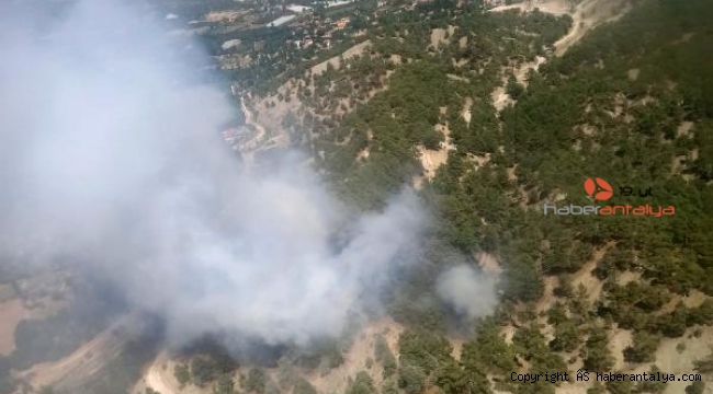 Kaş'ta orman yangını