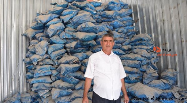'Kış gelmeden odun kömürünüzü temin edin' 