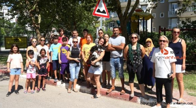 Mahalleli, Antalya'daki köpek ölümlerine çare arıyor