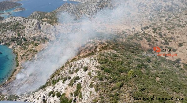 Makilik yangını çıkaran çobana gözaltı