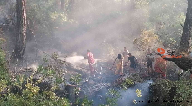 Manavgat'taki orman yangını büyümeden söndürüldü