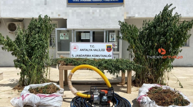 Serik'te 16 kilogram esrar ele geçirildi !