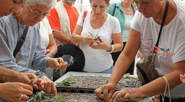 Tıbbi aromatik bitkiler toprakla buluştu