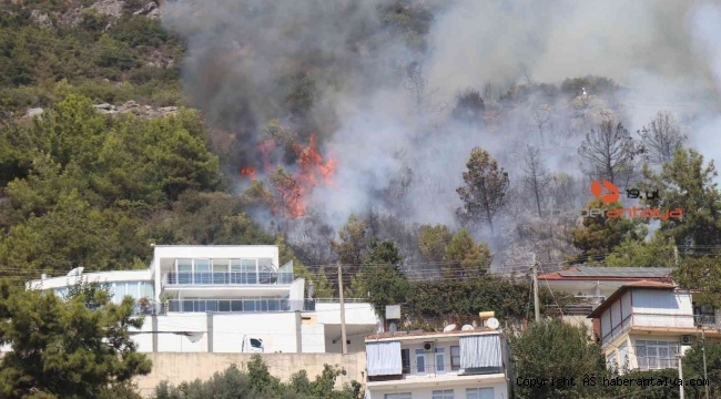 Alanya'da orman yangını !