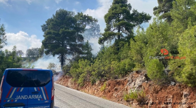 Alanya'da orman yangını