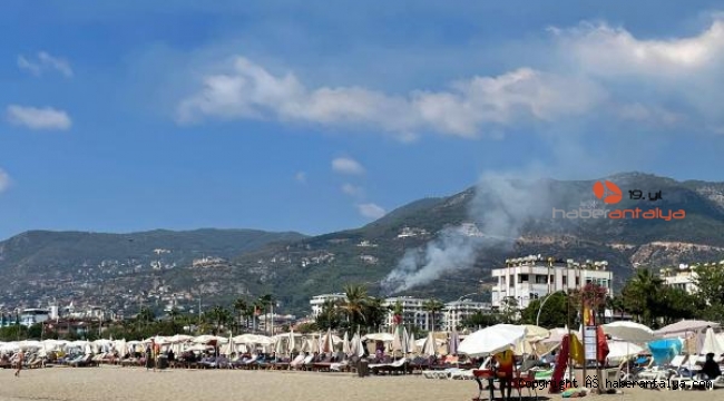 Alanya'da orman yangını, 3 saatte söndürüldü