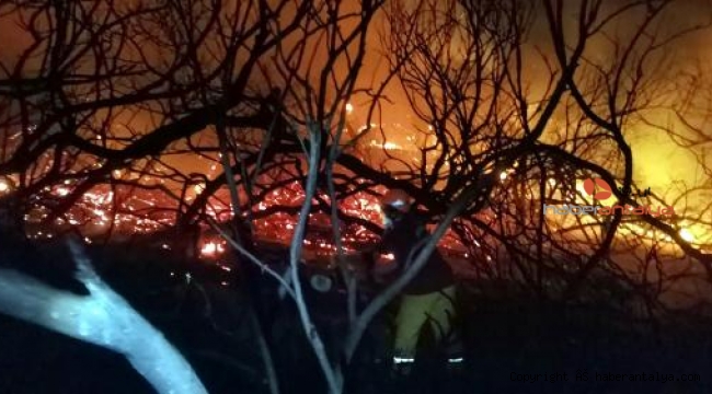 Antalya'da çay kenarında çıkan yangın, 3 saatte söndürüldü
