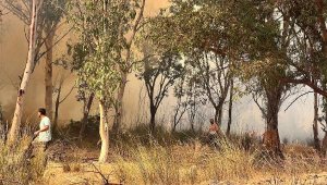 Antalya'da çay kenarındaki sazlık ve ağaçlıktaki yangın yeniden alevlendi