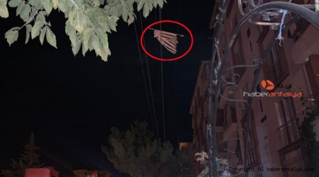 Balkondan attığı perde tellere takıldı