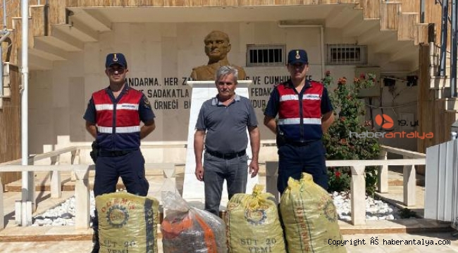 Çalınan keçiboynuzları sahibine teslim edildi