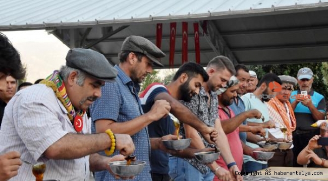 Doğantaş Hasat ve Bal Şenliği yapıldı