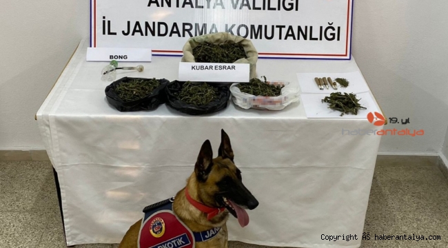 Eve yapılan baskında 1 kilogram kubar esrar ele geçirildi