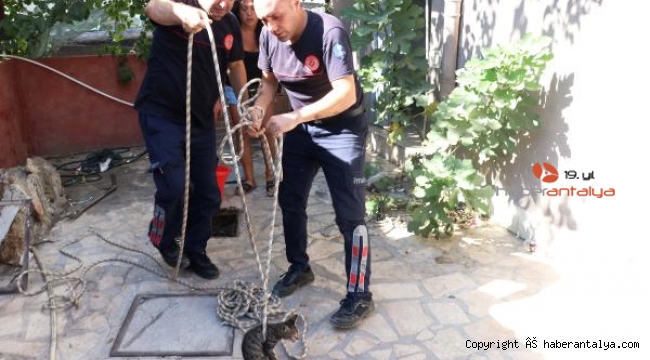 Foseptik çukuruna düşen yavru kediyi itfaiye kurtardı