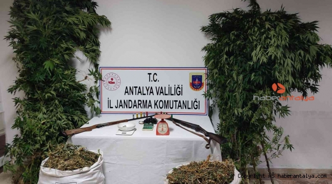 Kumluca'da 10 kilo kubar esrar ve 232 kök Hint keneviri ele geçirildi