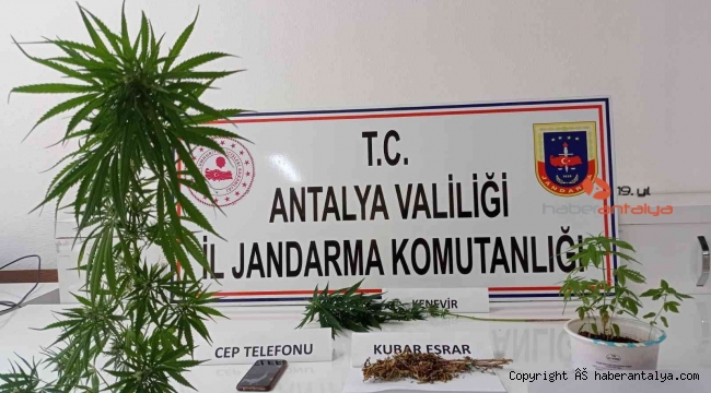 Kumluca'da evin çatısında kenevir ele geçirildi