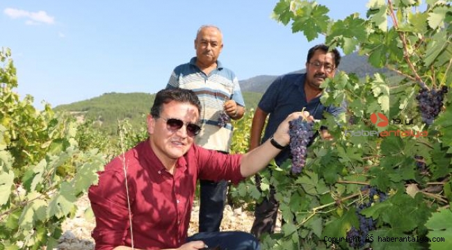 Milletvekili Uslu, Elmalı ve Finike'de