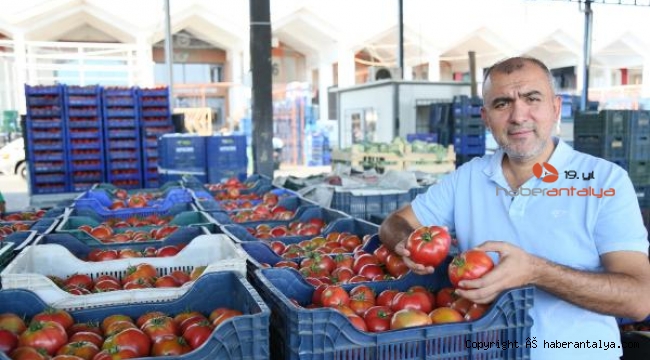 Örtü altı üretim düşünce Avrupalı Antalya'ya yöneldi