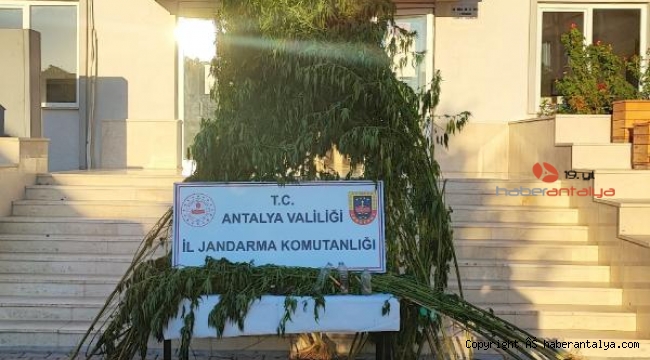 Serik'te jandarmadan uyuşturucu operasyonu