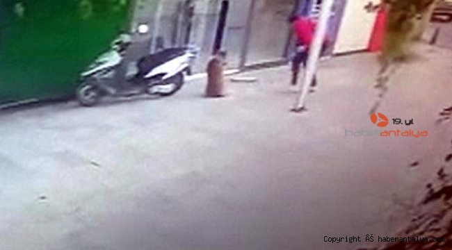 Sokak köpeği Boris'i bıçaklayarak öldürdü, o anlar kamerada 