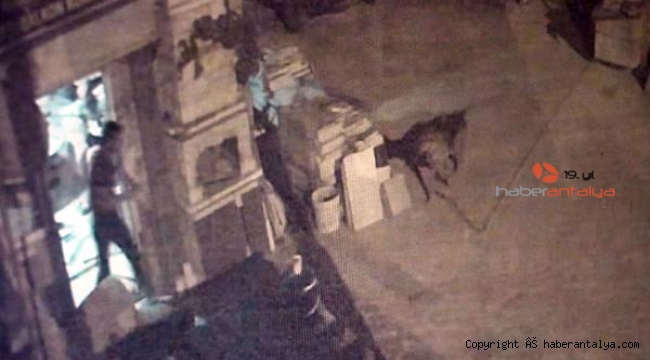 Tartıştığı arkadaşının ismini taşıyan köpeği tabancayla öldürdü; olay anı kamerada