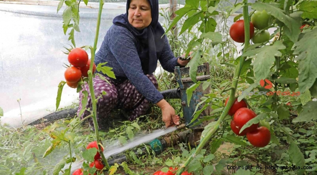 Toprakları suya kavuşan Manavgatlı çiftçinin yüzü güldü